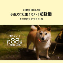 Load image into Gallery viewer, 犬用led光る首輪