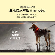 Load image into Gallery viewer, 犬用led光る首輪