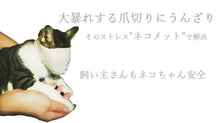 Load image into Gallery viewer, 猫用マスク【L/M/S】