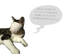 Load image into Gallery viewer, 猫用マスク【L/M/S】