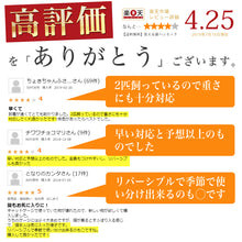 Load image into Gallery viewer, 猫冬夏両用ハンモック【3色】