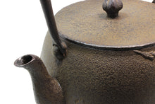 Load image into Gallery viewer, 長文堂 『ざくろ鉄瓶』 1.8L 長谷川
