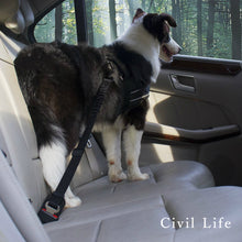 Load image into Gallery viewer, 犬用車シートベルト
