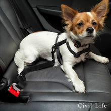 Load image into Gallery viewer, 犬用車シートベルト
