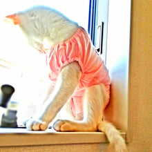 Load image into Gallery viewer, 猫用術後服【2色】【L/M/S】
