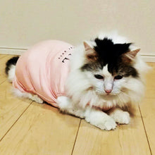 Load image into Gallery viewer, 猫用術後服【2色】【L/M/S】

