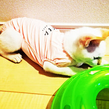 Load image into Gallery viewer, 猫用術後服【2色】【L/M/S】
